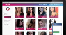 The Camgirls platform uses blockchain to ensure anonymity in payments